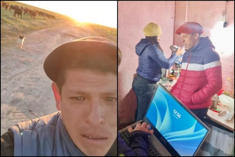 De la tristeza en un video viral a la intervención del ministerio de Trabajo: inspección y multas en un campo