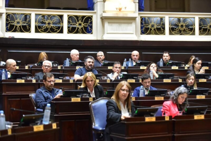 Legisladores bonaerenses celebraron el rechazo a los vetos de Milei: “Hoy ganamos todos”