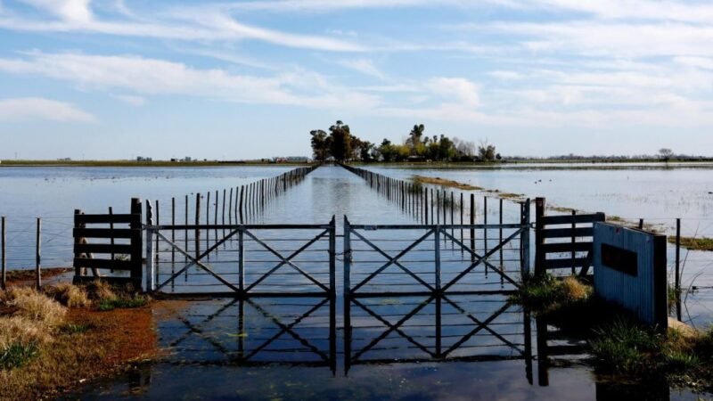 Cinco millones de hectáreas bajo el agua: el temporal arrasó campos y caminos en el centro bonaerense