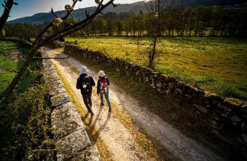 Exposición “Camino de Santiago, primer itinerario cultural europeo”