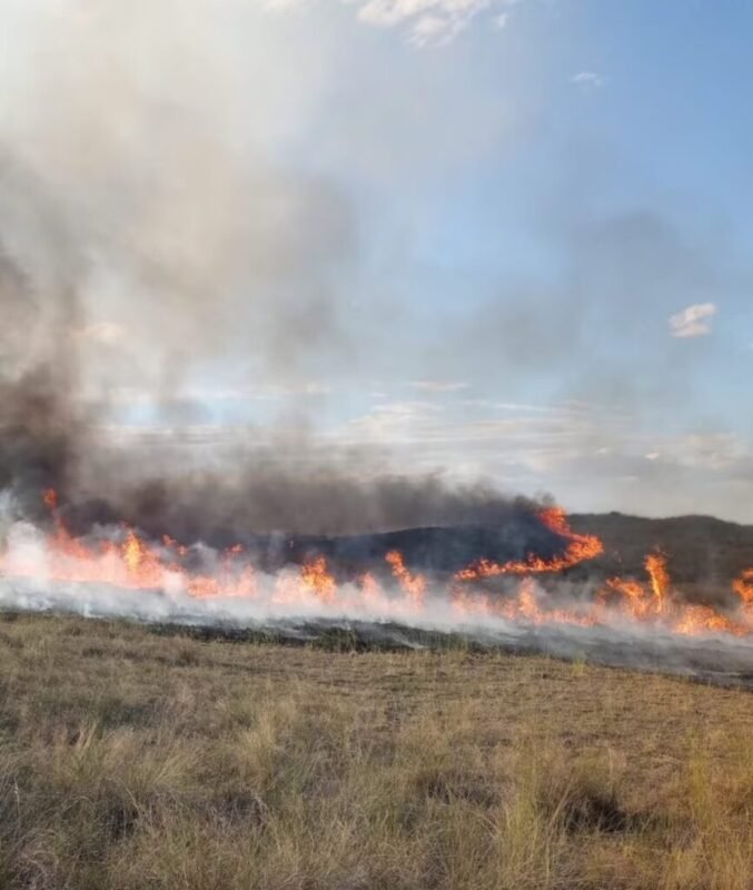 Productores rurales alertó por la falta de prevención de incendios en los campos