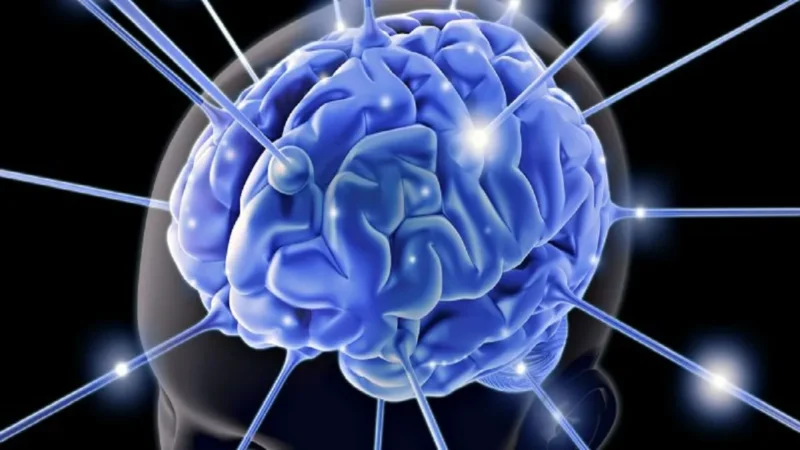 En qué meses nacen las personas que tienden a ser más inteligentes, según un estudio