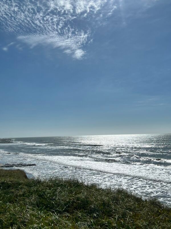 La guía definitiva para el fin de semana largo en Mar del Plata y Mar Chiquita