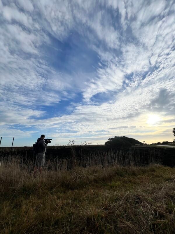 Incendios en Mar del Plata: hay más de 200 hectáreas consumidas por las llamas