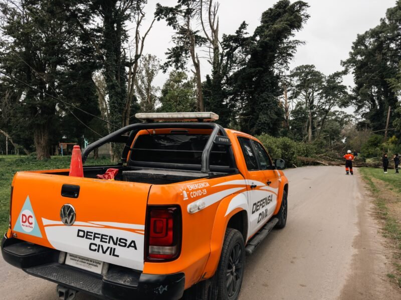 Mar del Plata: suspenden las clases del turno tarde