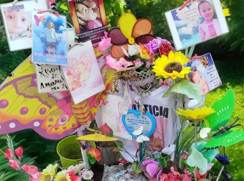 La Plata: condenan a 23 años y cuatro meses a uno de los asesinos de Kim Gómez