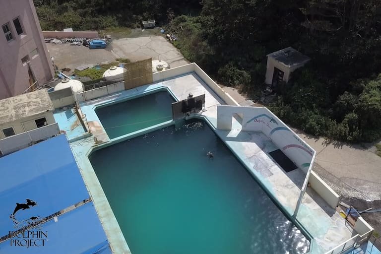 Incertidumbre por el destino de los animales del Aquarium