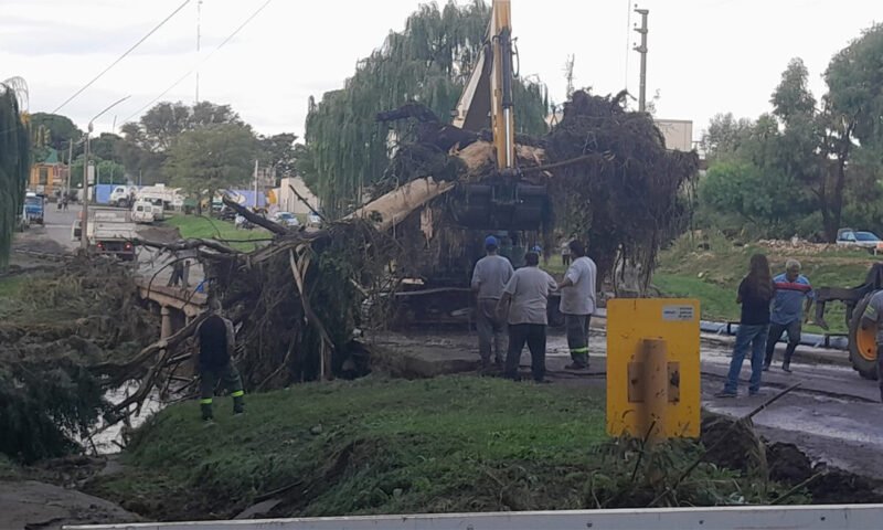 Sudeste bonaerense bajo alerta: el temporal dejó ciudades anegadas y daños por vientos fuertes