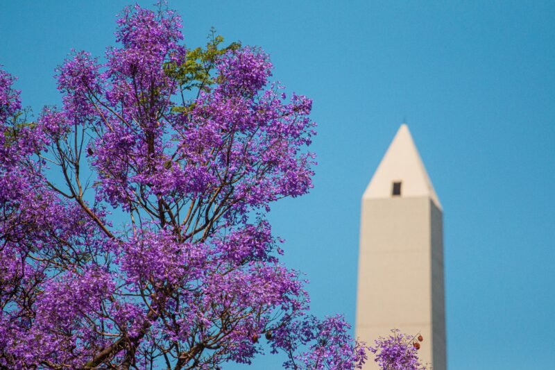 Vecinos y turistas disfrutarán de los festejos por el aniversario del Obelisco en la Ciudad de Buenos Aires