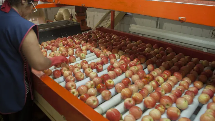 Histórico derrumbe en el mercado interno: las ventas de peras y manzanas tocaron su piso en diez años