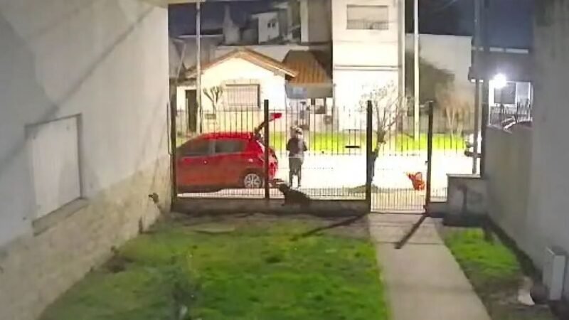 Robaron un auto en Mar del Plata y casi se llevan a una nena que estaba adentro