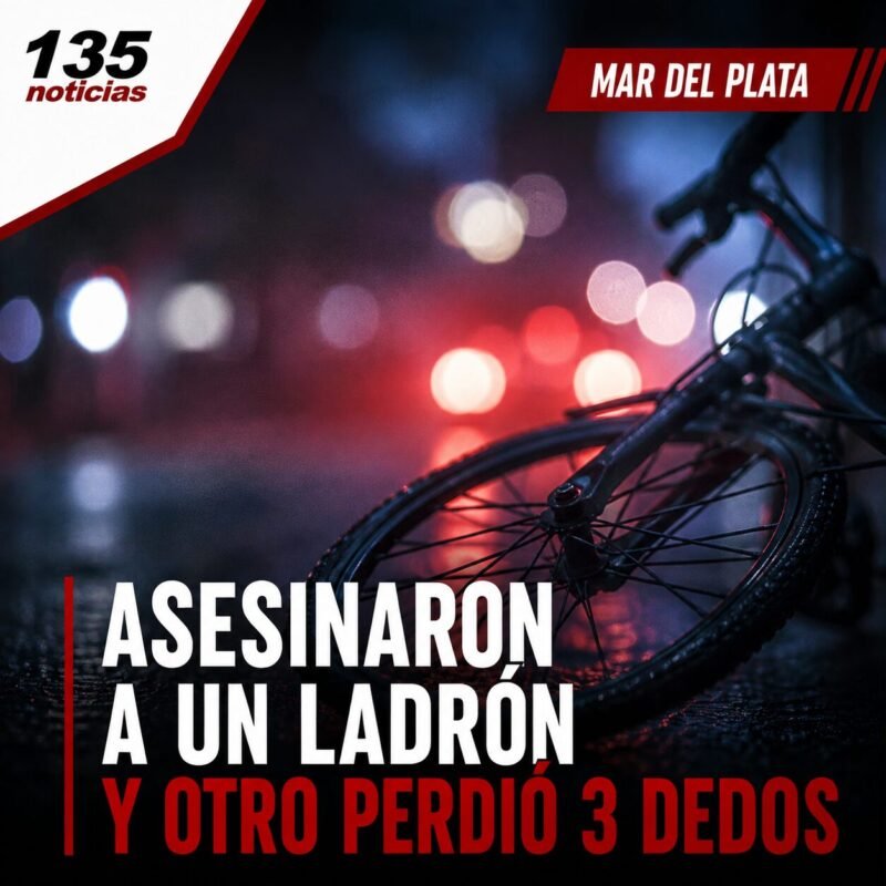 Asesinaron a un ladrón en un intento de robo