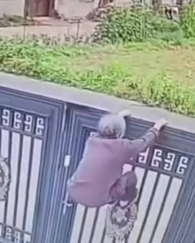Una anciana trepó una reja para escapar del geriátrico