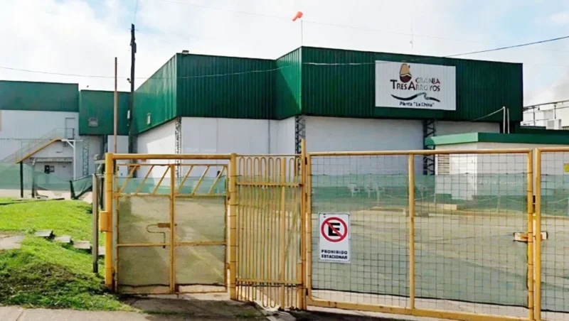 Granja Tres Arroyos despidió a 250 trabajadores y crece la preocupación en el sector avícola