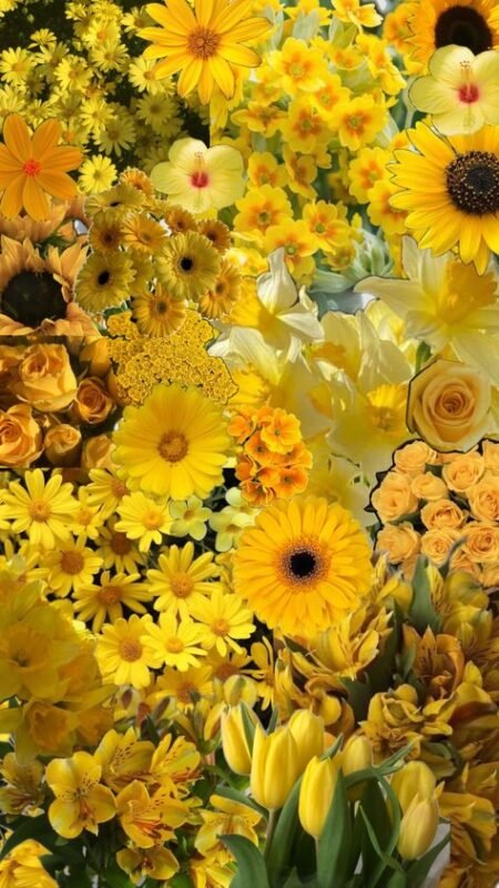 Las flores amarillas vuelven a ser furor y multiplican las reservas en Púrpura